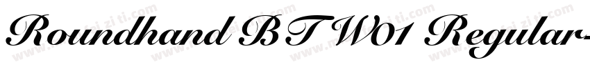 Roundhand BT W01 Regular字体转换